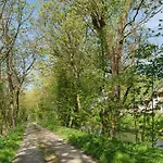 Pohns Warft Oldenswort
