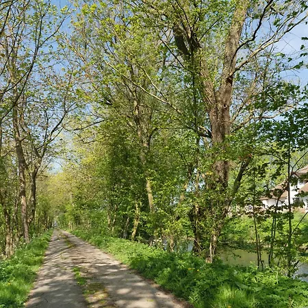 Pohns Warft Oldenswort