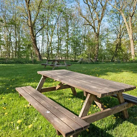 Pohns Warft Oldenswort